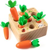 Speelgoed 1+ Jaar - Stimuleert Baby - Houten Montessori Sorteerspel - Educatieve Puzzel - Cadeau
