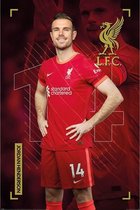 Liverpool FC Jordan Henderson Poster 61x91.5cm