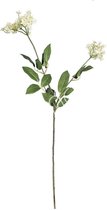 Kunstbloem wit - 75 cm - zijden bloem - nep bloemen - losse kunstbloemen