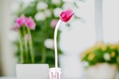 Bloem Glas Tulp Roze | luxe cadeau | Tulpen van glas | Kunstbloemen
