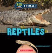 Wild World - Reptiles (Wild World: Big and Small Animals)