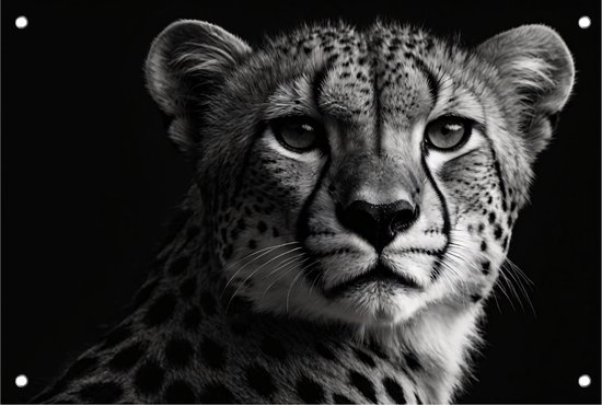 Cheeta tuinposter - Panter tuinposter - Poster dieren - Tuinposters - Poster tuin - Tuin decoratie - 150 x 100 cm