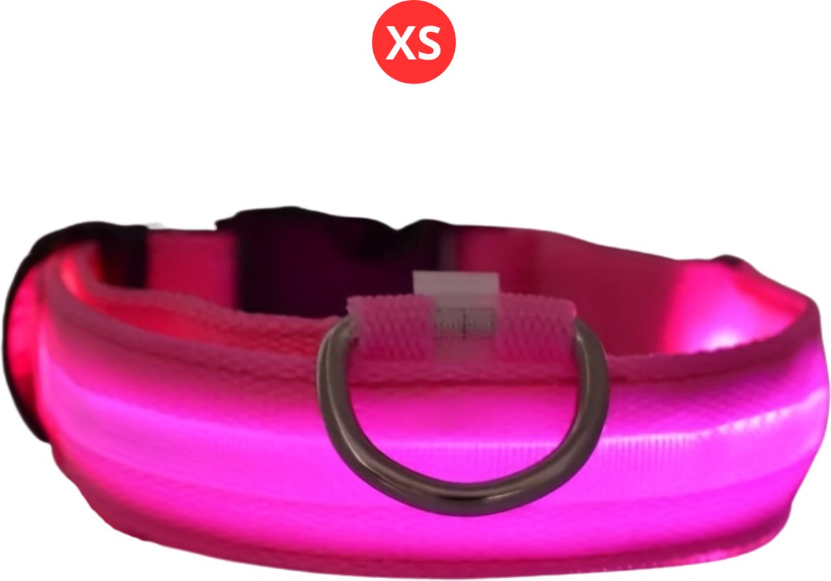 Livano Hondenhalsband Led - Lichtgevend - Verlichte Halsband - Lichtgevende Halsband - Hond - Kat - Lampje - Oplaadbaar - Roze XS