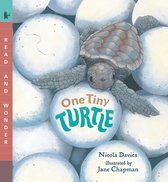 Read and Wonder- One Tiny Turtle