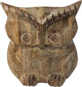 Uil hout decoratieve figuur uit mangohout gesneden 21cm hoog