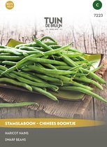 Graines Jardin de Bruijn® - Haricots verts réguliers - Miracle des haricots chinois - 25 g de graines