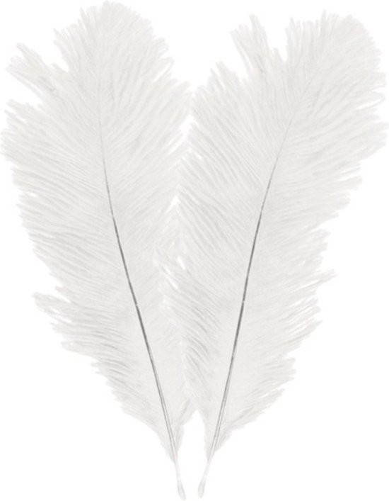 Sowder 10 stuks Struisvogelveren 30-35 cm voor