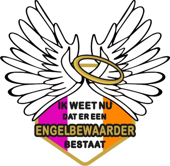 ''Ik weet nu dat er een engelbewaarder bestaatl'' strijk applicatie - carnaval 2025