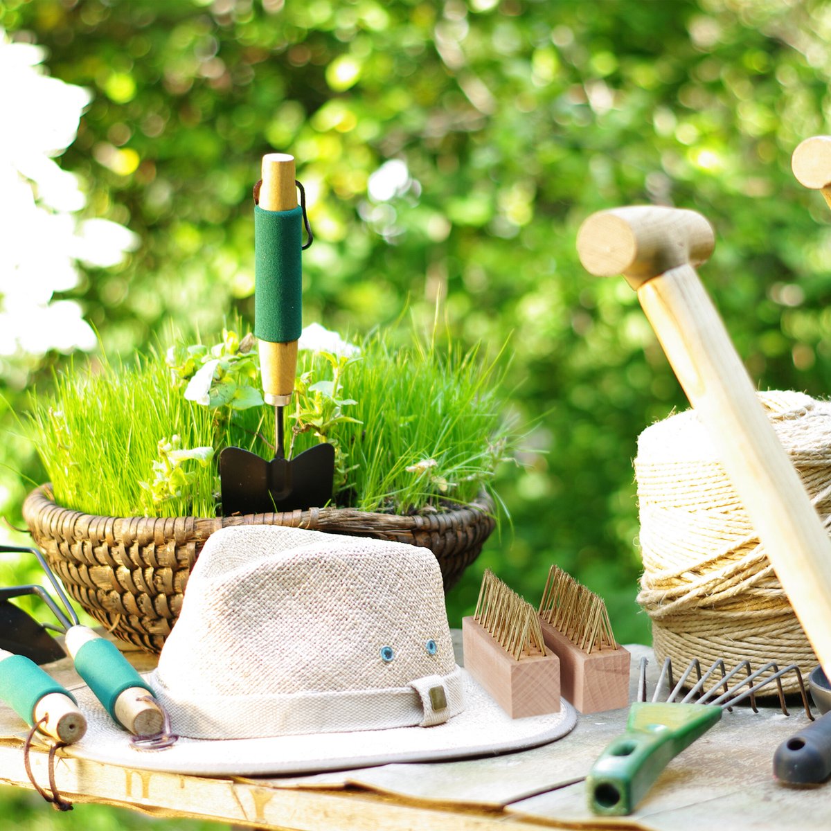 Synx Tools - Houe Droite 18cm - Désherbage / Désherbage - Houes -Manche