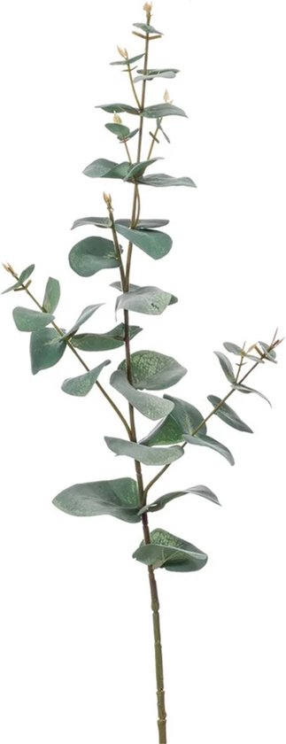 Emerald Kunstplant Eucalyptus - groen - takken - hangplant - 68 cm