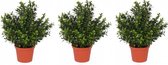 Set van 3x stuks groene Buxus kunstplanten in pot 31 cm - Kantoor/huiskamer nep/namaak planten