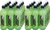 MP3 - Carb-Charger (Citrus Burst - 24 x 500 ml) - Energiedrank - Sportdrank - 12 liter