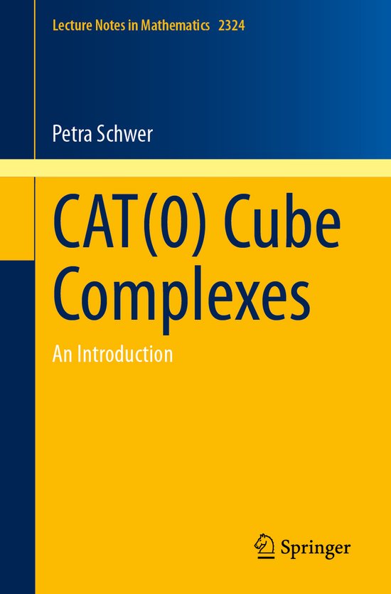 Lecture Notes in Mathematics- CAT(0) Cube Complexes