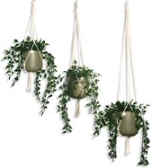 Voordeelset van 3 Plantenhangers - Gebroken Wit - 60, 80 en 100 cm - Katoen - Macramé - Handgemaakt in Nederland - Let op: Excl. Pot - Inclusief Verzendkosten