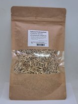 Racine de chicorée (Cichorium intybus)100g