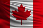 New Age Devi - Ontdek de Trots van Canada met deze 90x150cm Canadese Vlag - Inclusief Bevestigingsringen - Sterke Kwaliteit - Originele Kleuren