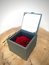 Longlife Roos 'donkerrood' in giftbox | SMALL | Een uniek valentijnscadeau