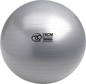 Fitness-Mad - Swiss Ball - 150 Kg - 75 Cm - Met Pomp