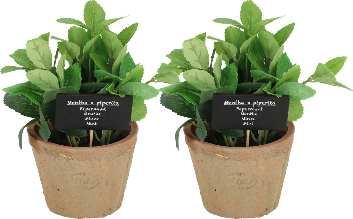 Esschert Design Kunstplant/kruiden munt - 2x - in oude terracotta pot - 20 cm - kruiden