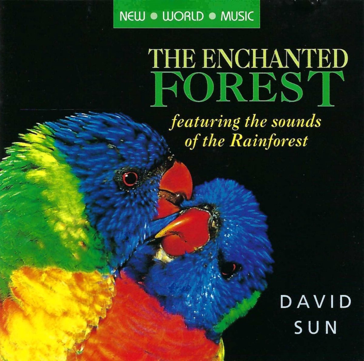 Enchanted Forest