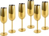 Champagneglas, champagneglas, roestvrij staal, onbreekbare glazen, feestglazen voor bruiloft/verjaardag/picknick, cadeauset, 6-delig, 250 ml