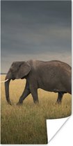 Poster Olifant - Savanne - Dieren - Natuur - 60x120 cm