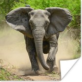 Poster Rennende olifant - 100x100 cm XXL