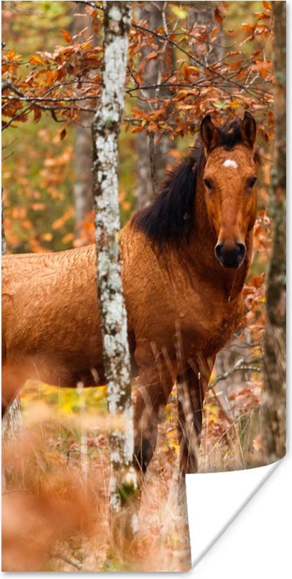 Poster Paard - Bos - Bruin - 75x150 cm