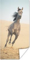 Poster Paard - Zand - Woestijn - 20x40 cm