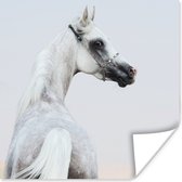 Poster Paard - Zand - Pastel - 50x50 cm