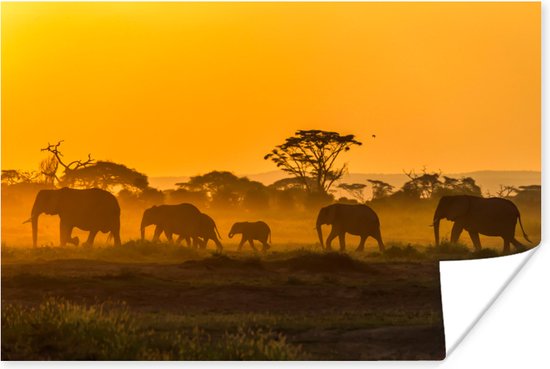 Poster Kudde olifanten bij zonsopkomst - 180x120 cm XXL