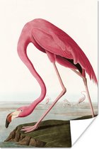 Poster - Flamingo - Vintage - Vogel - Art - Cadre photo - Cadre - 60x90 cm - Décoration maison - Cadre affiche - Poster flamant rose - Poster animaux