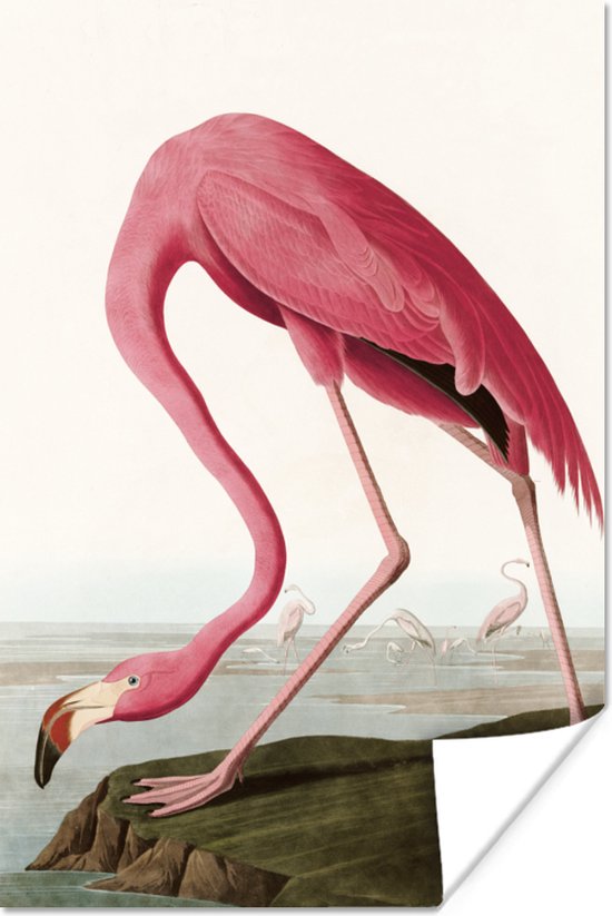 Poster - Flamingo - Vintage - Vogel - Kunst - Fotolijst - Kader - 60x90 cm - Woondecoratie - Posterlijst - Poster flamingo - Poster dieren
