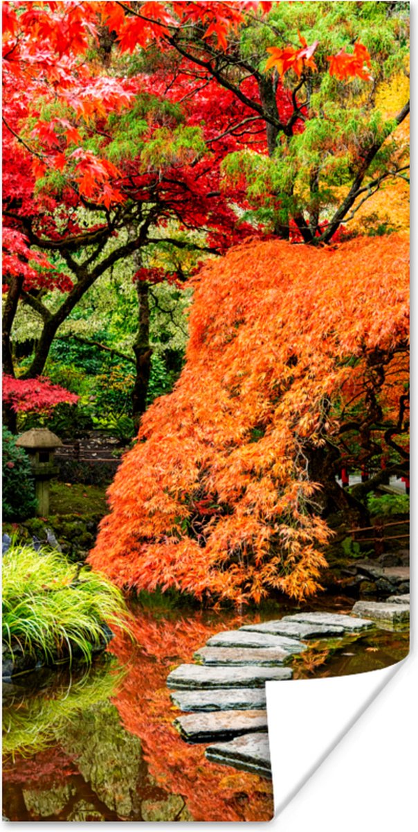 Poster Bomen - Japans - Stenen - Pad - Natuur - 40x80 cm