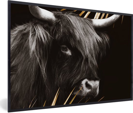 Fotolijst incl. Poster - Schotse hooglander - Goud - Zwart - Wit - 60x40 cm - Posterlijst
