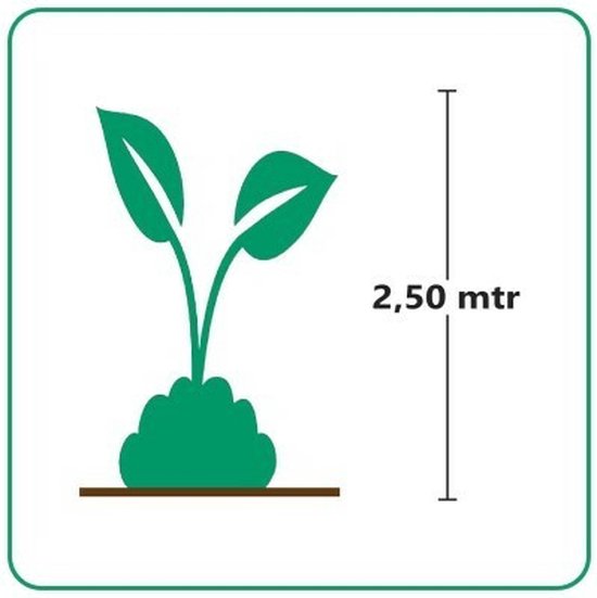 Illustratie van een plant van 2,5 meter hoog.