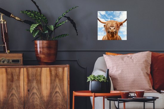 Affiche Highlander écossais - Nuage - Animaux - 30x30 cm