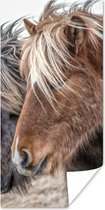 Poster Paarden - Natuur - Macro - 20x40 cm