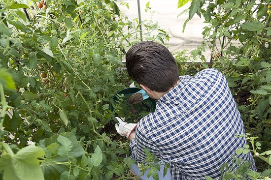 Liuer Tuinzeef – 2 Stuks Ronde Zeef, PP-materiaal, 3 Mm Maaswijdte, Voor Aarde, Zand, Compost En Stenen