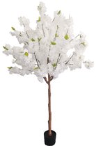 Kunst Kersenbloesem 150cm Wit | Kunstplant met bloemen | Kunstboom met bloemen | Nep kersenbloesem | Cherryblossom Kunstboom