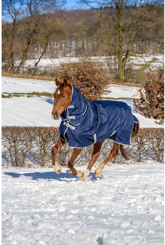 Bruin paard met donkerblauwe Bucas deken met capuchon en zilveren randen, in de sneeuw.