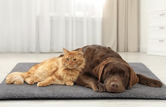 Elektrische deken voor katten, 60 x 40 cm, zelfverwarmende deken voor katten,  wasbaar... | bol