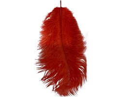 Power Escorts Rode Veer Kietelaar – BR321