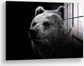 Wallfield™ - Big Bear | Glasschilderij | Muurdecoratie / Wanddecoratie | Gehard glas | 40 x 60 cm | Canvas Alternatief | Woonkamer / Slaapkamer Schilderij | Kleurrijk | Modern / Industrieel | Magnetisch Ophangsysteem