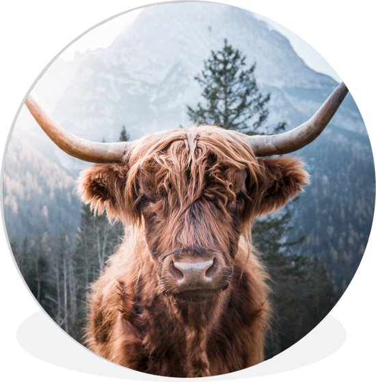 Rond schilderij van een Schotse hooglander met lange hoorns en een bos op de achtergrond.