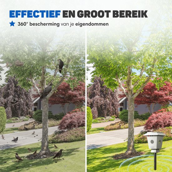 Voor en na: Boom met kraaien en vogelpoep, nu zonder vogels dankzij de "Vulpes Goods" verjager in de tuin.