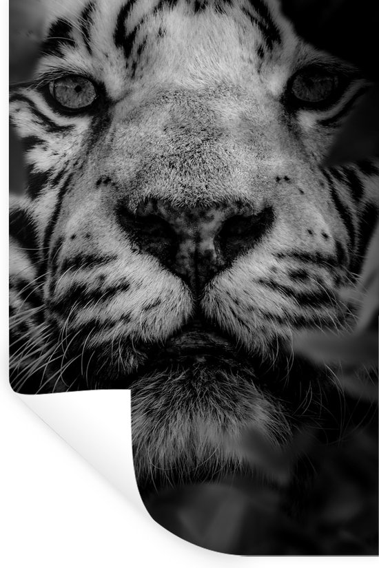 Muurstickers - Sticker Folie - Close-up van bladeren en een witte tijger in de jungle - zwart wit - 20x30 cm - Plakfolie - Muurstickers Kinderkamer - Zelfklevend Behang - Zelfklevend behangpapier - Stickerfolie