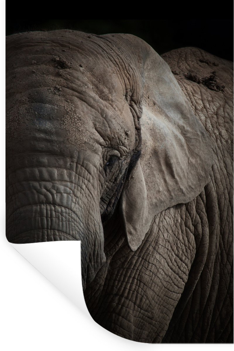 Muurstickers - Sticker Folie - Olifant - Portret - Dieren - Zwart - 40x60 cm - Plakfolie -