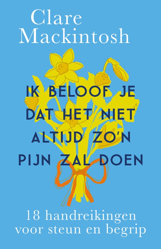Ik beloof je dat het niet altijd zo'n pijn zal doen - cover