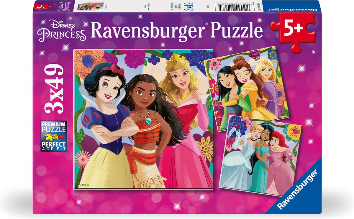 Disney Princess 3x49 stukjes